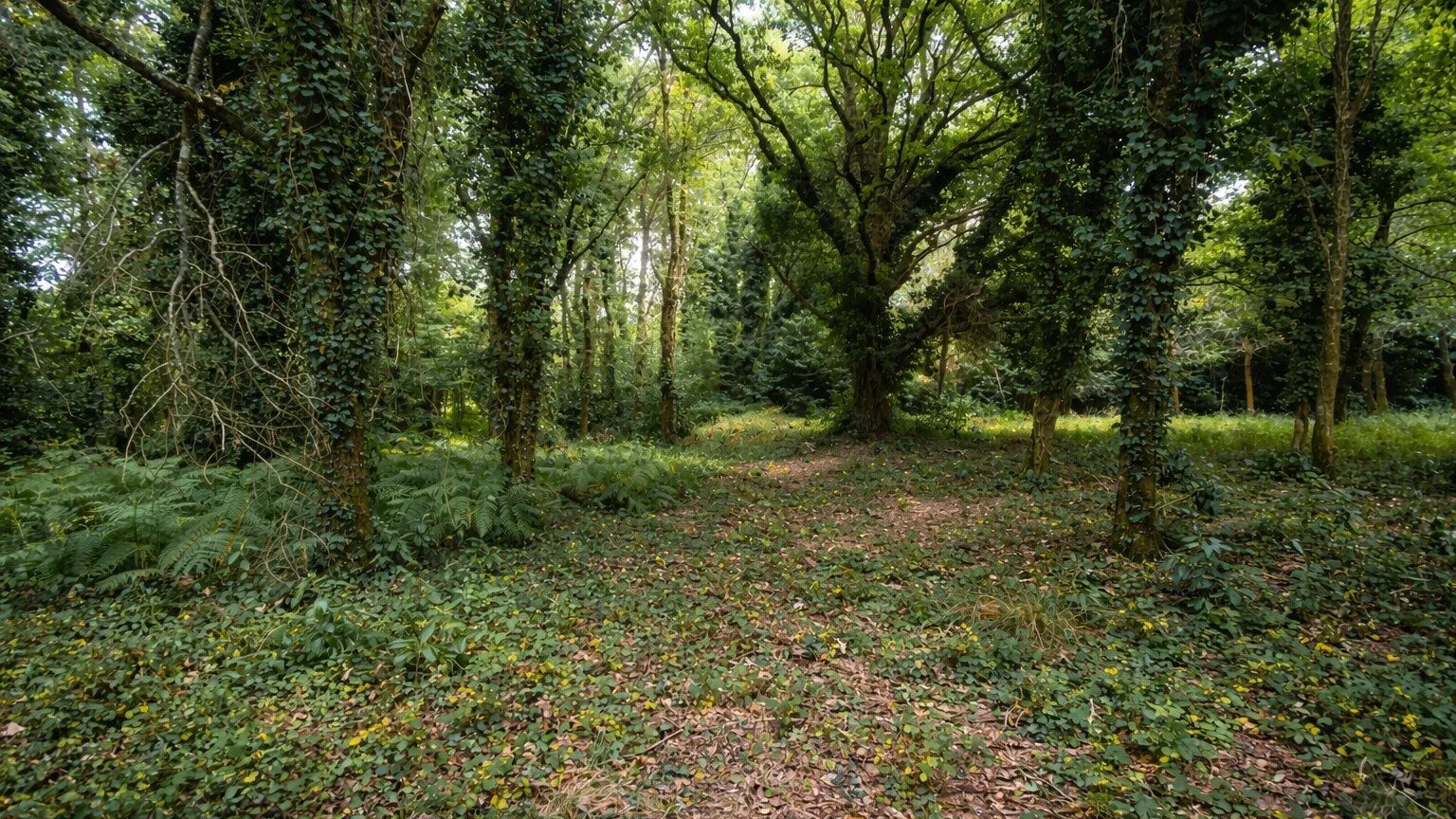 Vue du projet de villa dans son environnement